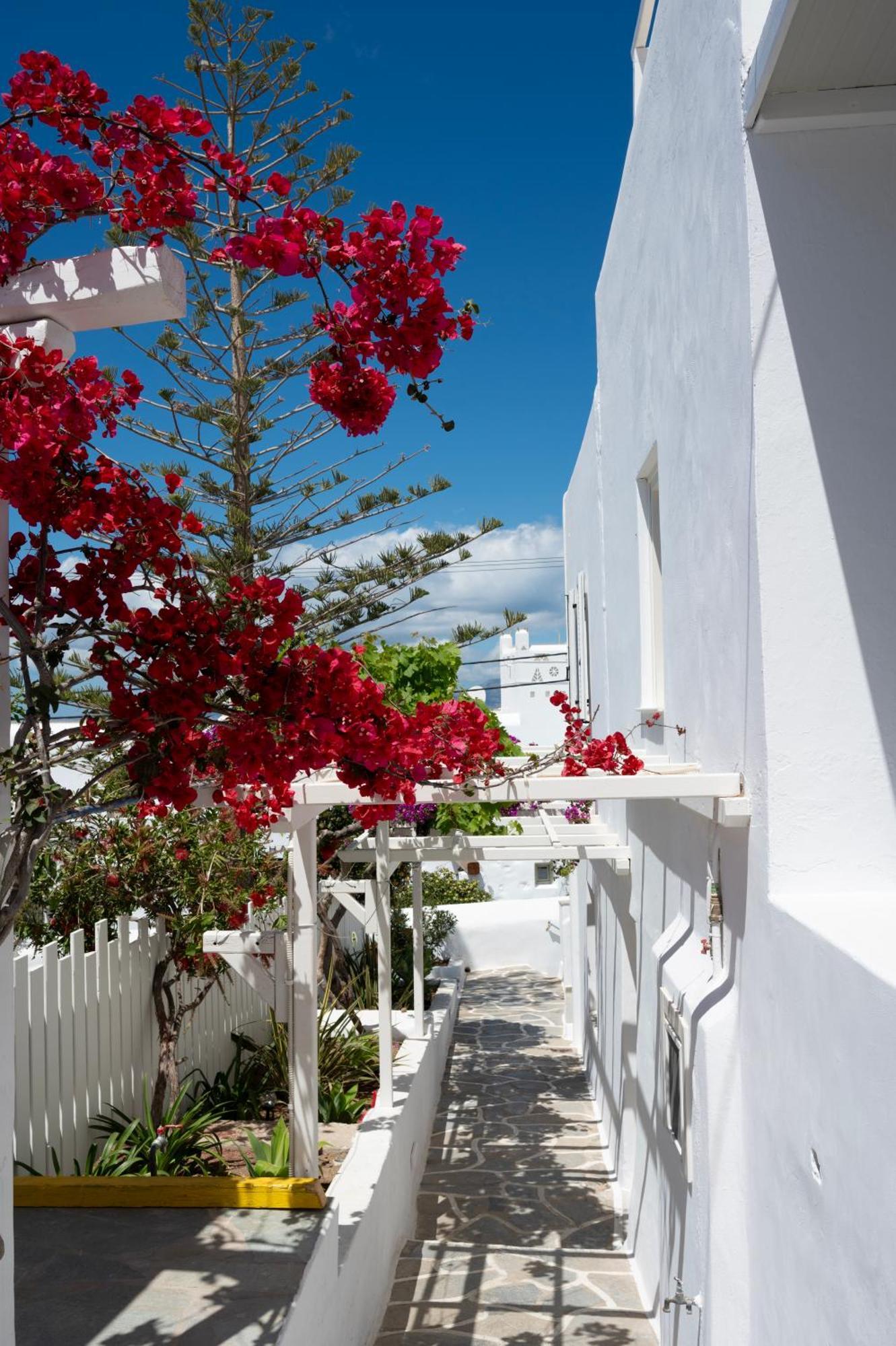 Hotel Boutique Di Vito Mykonos Town Exterior foto