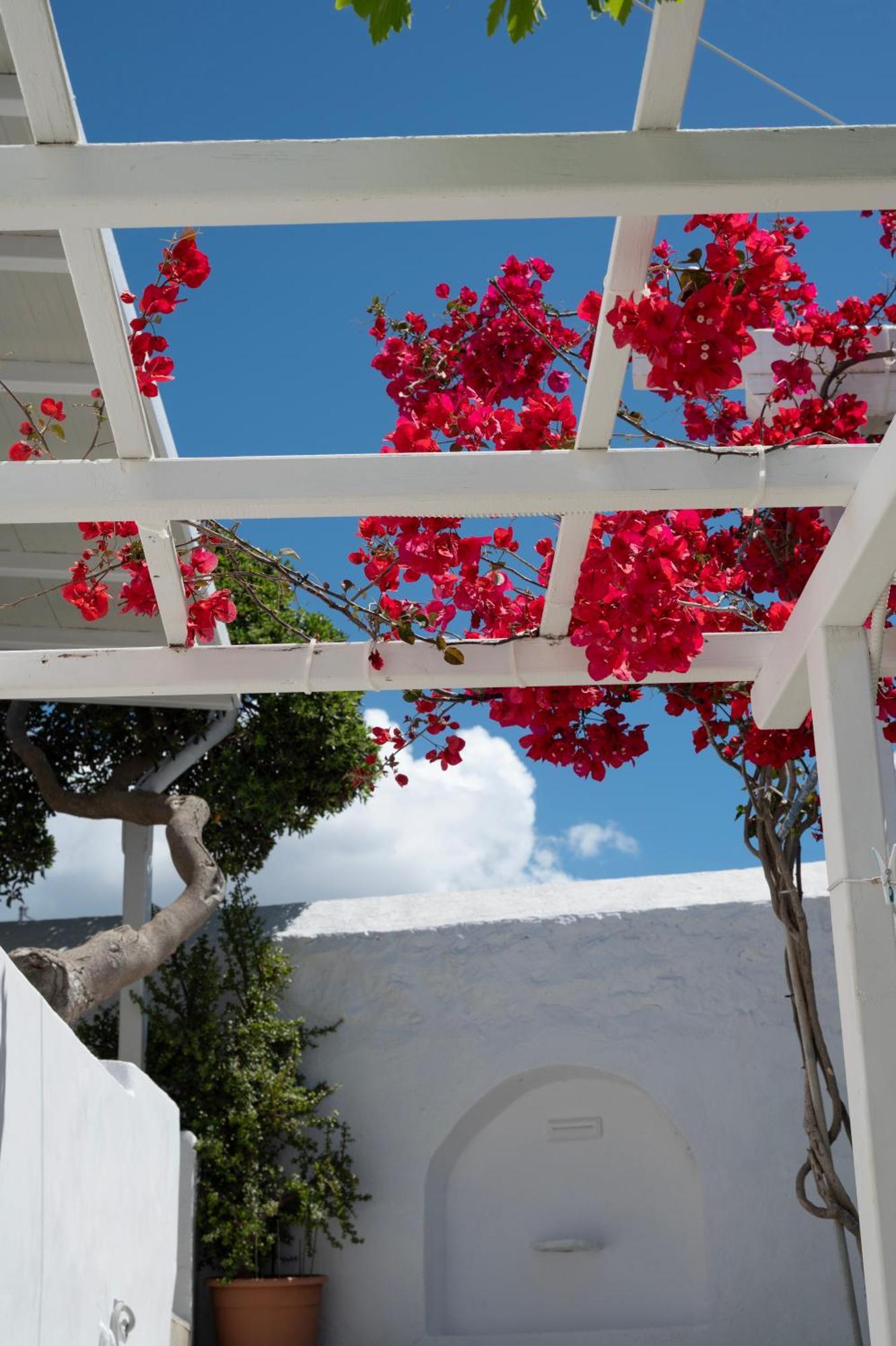 Hotel Boutique Di Vito Mykonos Town Exterior foto