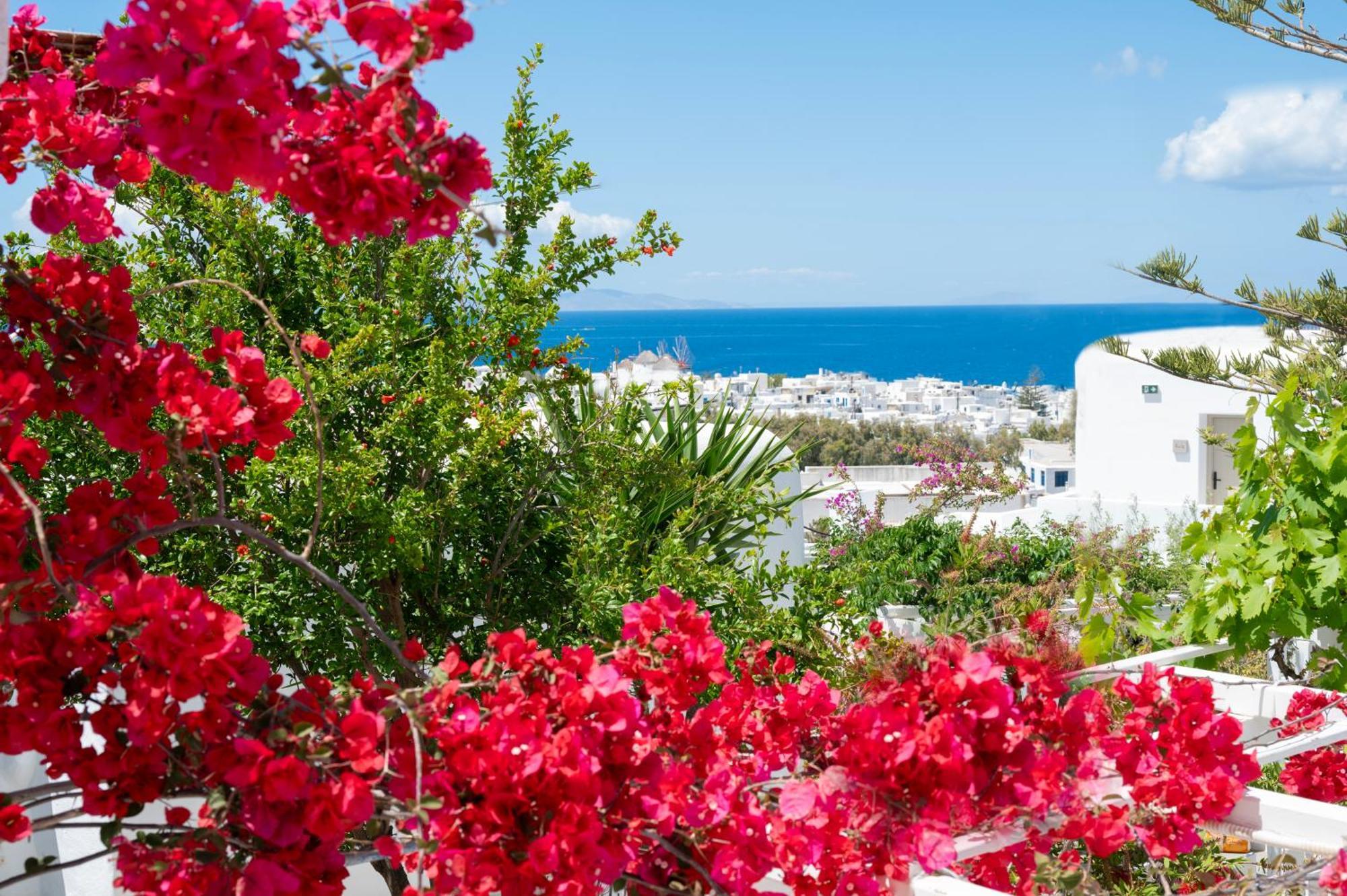 Hotel Boutique Di Vito Mykonos Town Exterior foto
